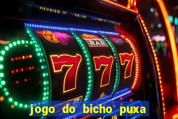 jogo do bicho puxa de dona maria